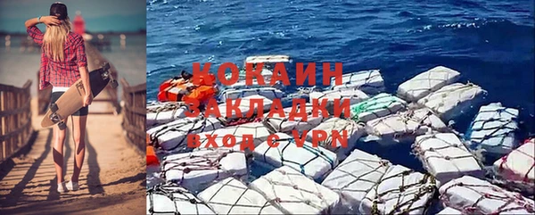 дурь Инсар