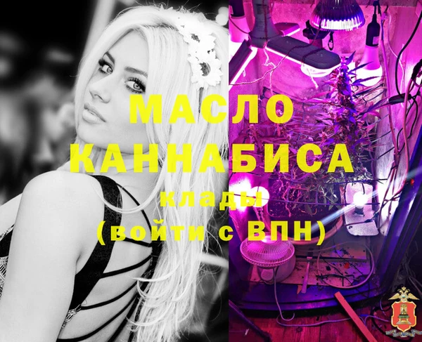 бошки Каменка