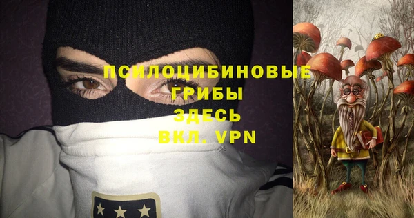 apvp Инта