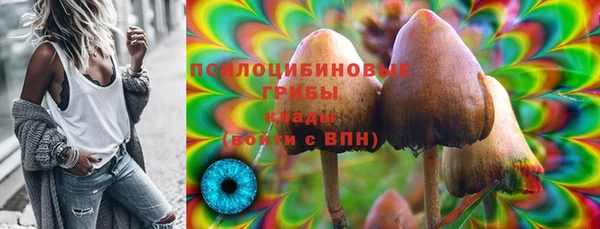 a pvp Каменск-Шахтинский