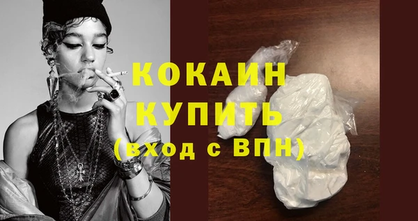 apvp Инта
