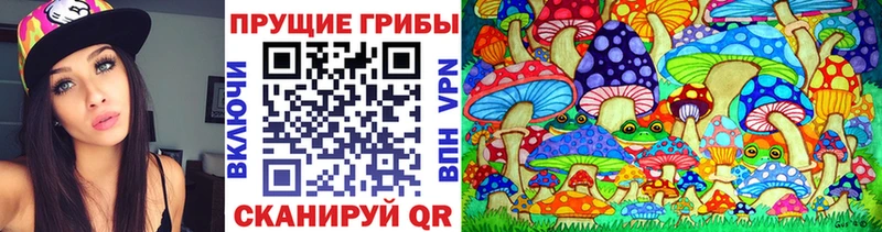 Купить где  Бодайбо  Псилоцибиновые грибы Psilocybine cubensis 