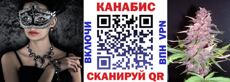 Купить закладки Бодайбо Каннабис сатива